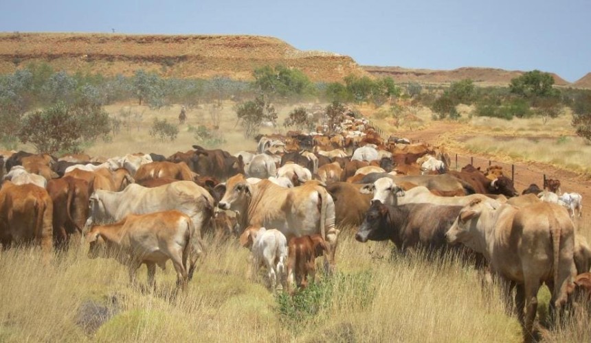 Study finds modest opportunities for soil carbon in the north