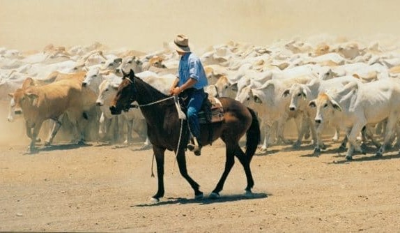 Recruitment: Salary trends up in Australian agriculture