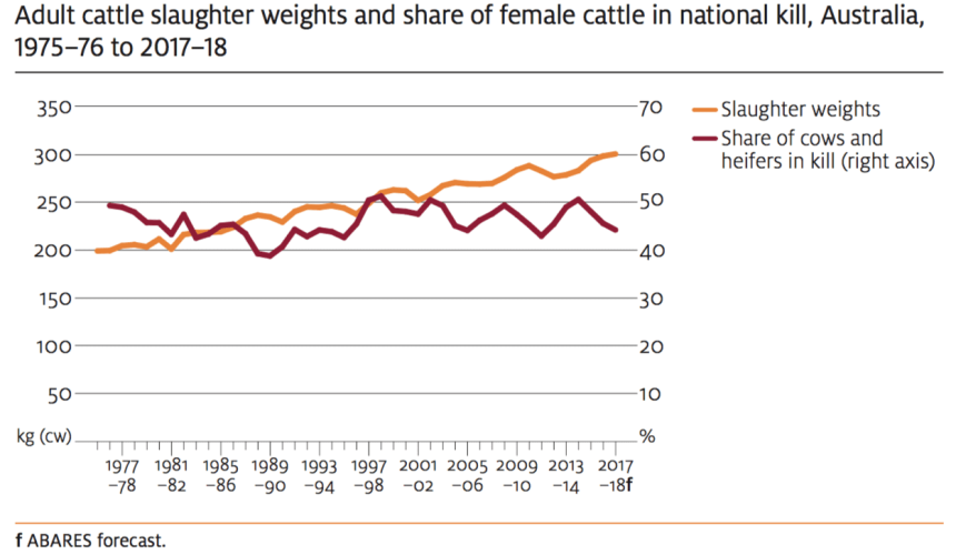 Saleyard cattle prices to average 465c in 17/18: ABARES