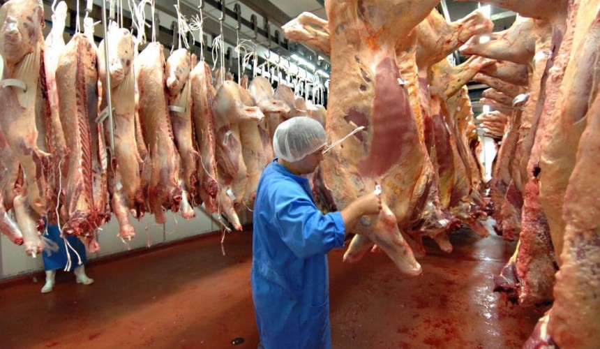 Processing technology: Chiller humidifiers protect against carcase yield loss