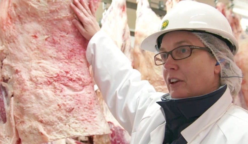 New assessment tools help judge, as she hits the Beef 2018 carcase judging trail
