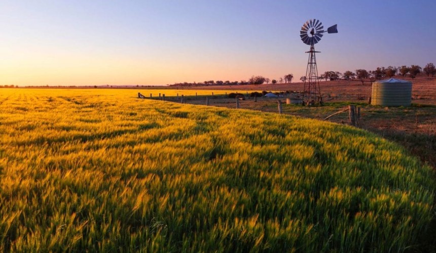 Opinion: Can Australian ag afford not to promote itself more actively?