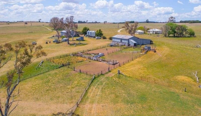 Growth Farms offers investors a slice of Australian farmland