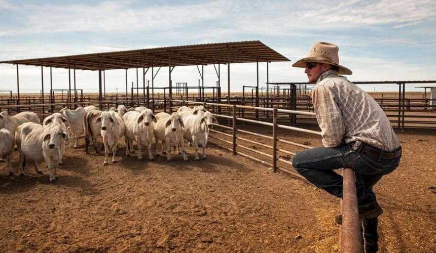 Property: Speculation returns about CPC land and cattle sale