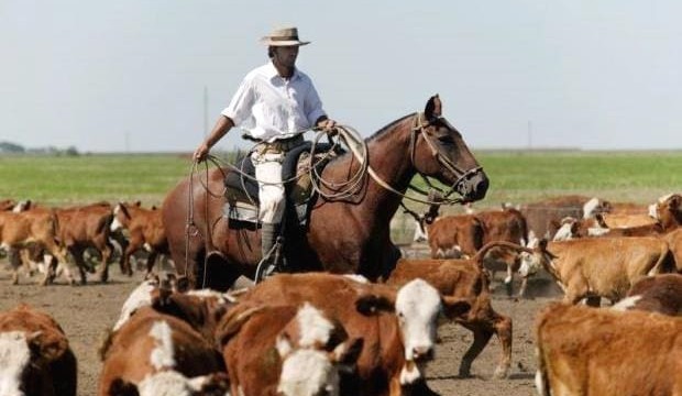 Competitor watch: Argentina extends beef export ban by two months