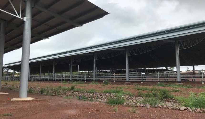 Darwin livex yard upgrade set for March completion