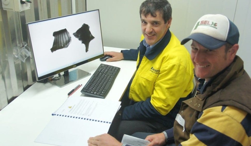 Slow progress in DEXA beef carcase yield analysis