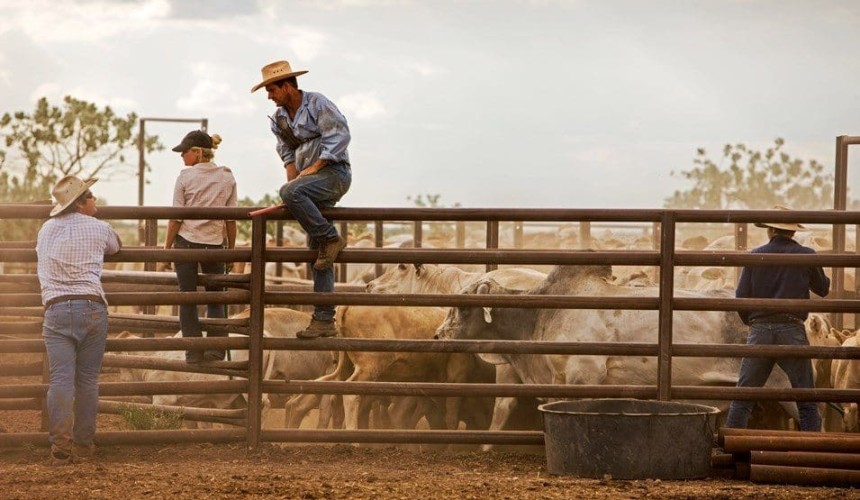 Beef 2018 award to salute beef innovators