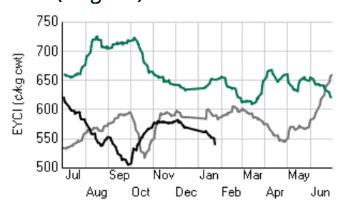Store cattle prices ease as dry pressure builds