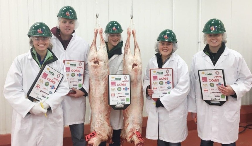 Young Aussie meat judging team excels during US tour