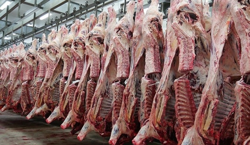 Weekly Genetics Review: How much does genetic variation influence the value of a carcase?