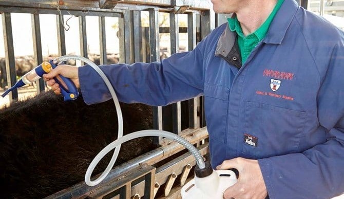 Combination drenches likely to slow resistance and boost weightgain