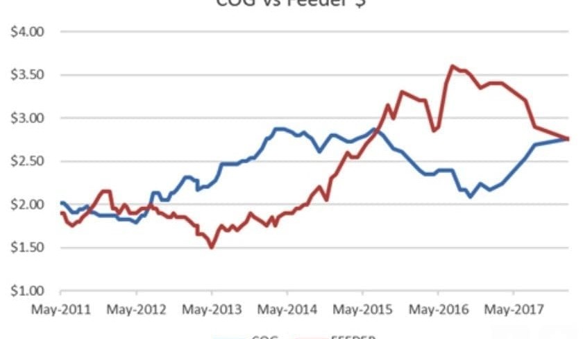Loss blows out to $155 in latest grainfed trading budget