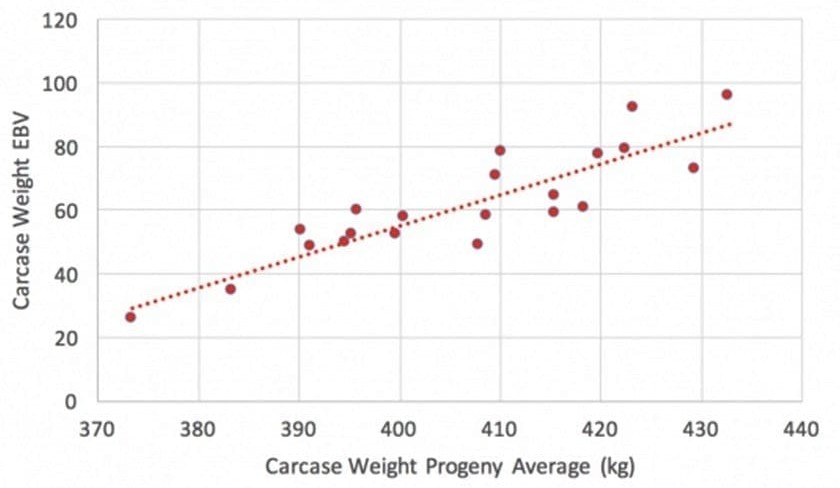 How well do EBVs of young bulls predict the differences in performance of their progeny?