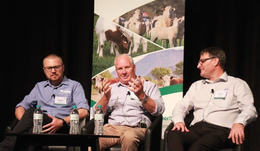 Australia urged to follow Ireland’s lead in driving beef genetic gain