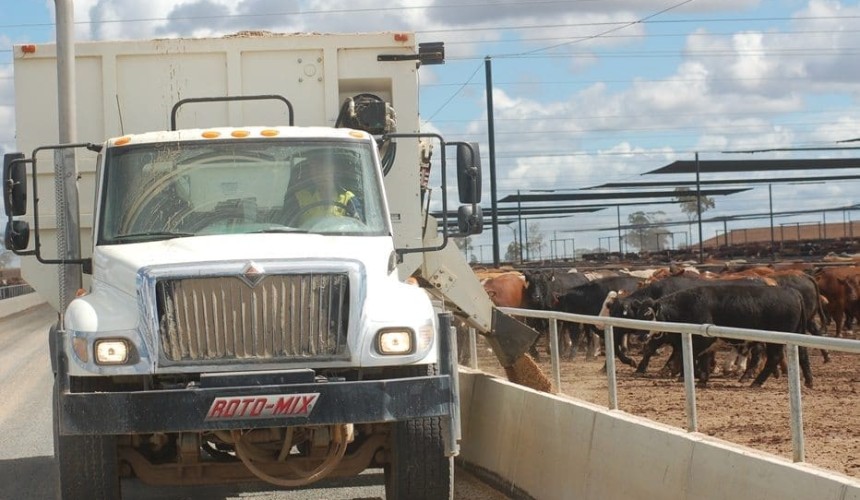 Automation opportunities identified in feedlot induction