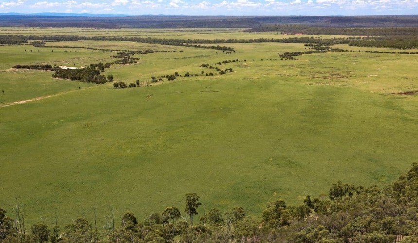 UQ “deforestation” research strikes similar tone to WWF lobbying