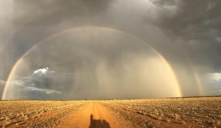 Four options in restocking after western Qld’s big seasonal change