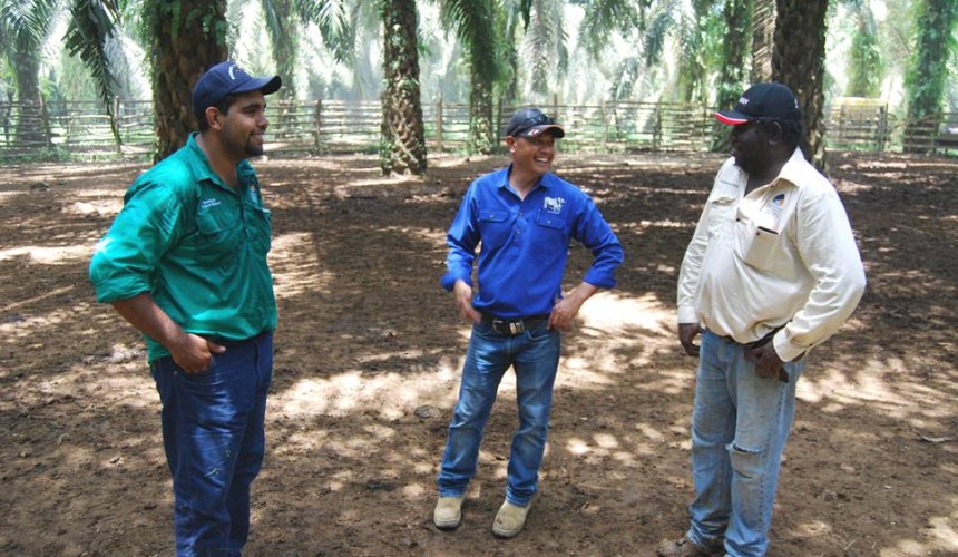 Indigenous cattlemen experience eye-opening trip to Indonesia