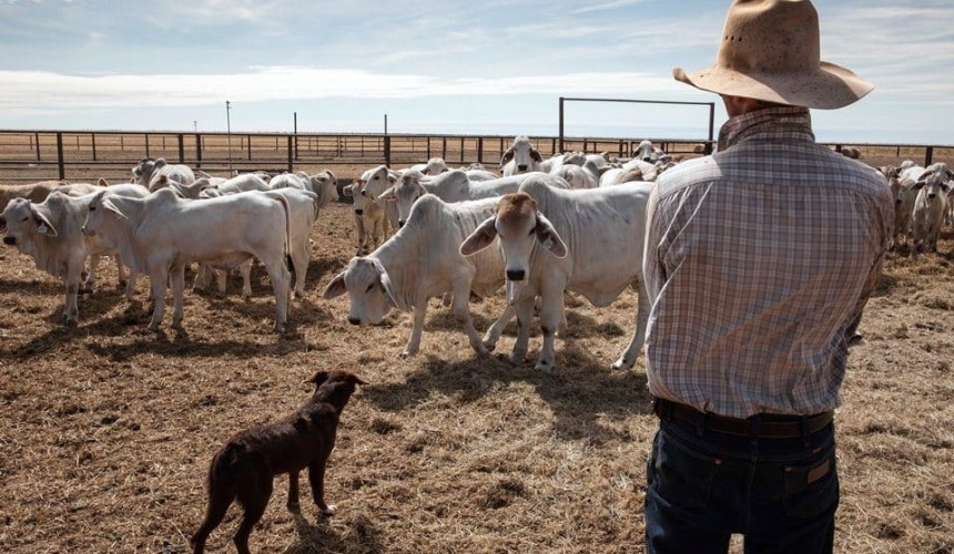 Recruitment: Online safety induction launched for livestock producers