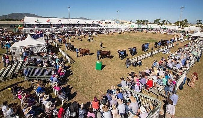 Entries closing soon for Beef 2021 stud beef competition