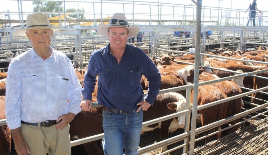 Dubbo yards 60,000 head so far in 2018