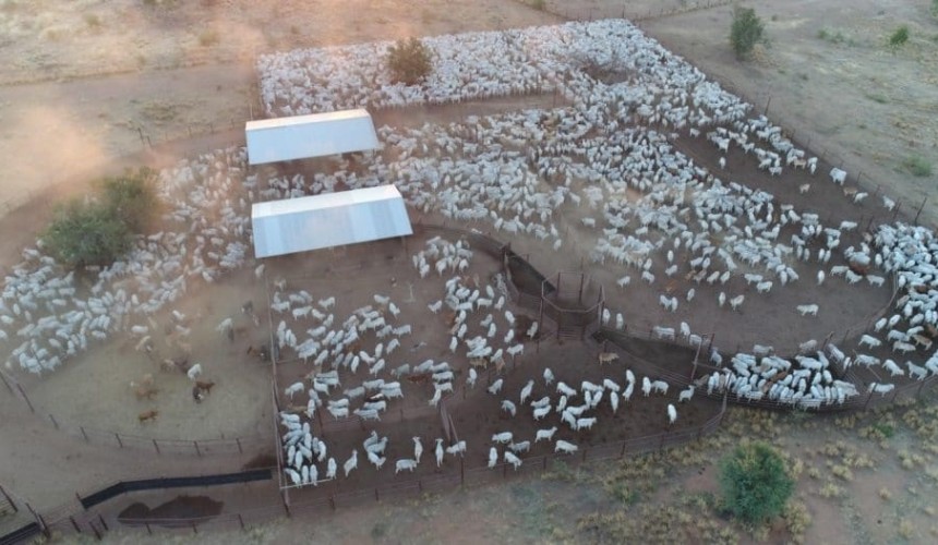 Stockyard orders backing up as manufacturers inundated with bookings