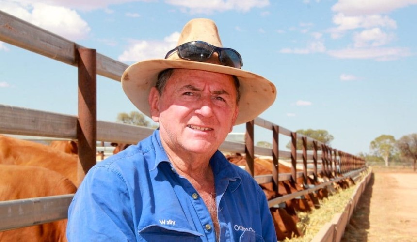 Red centre feedlot eyes branded beef: “the opportunity here is unbelievable”