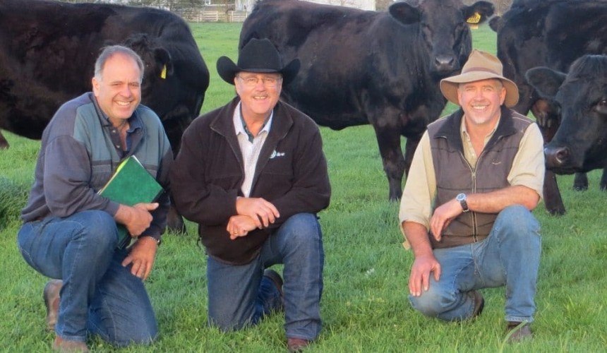 Unprecedented collaboration in beef cattle genetic improvement