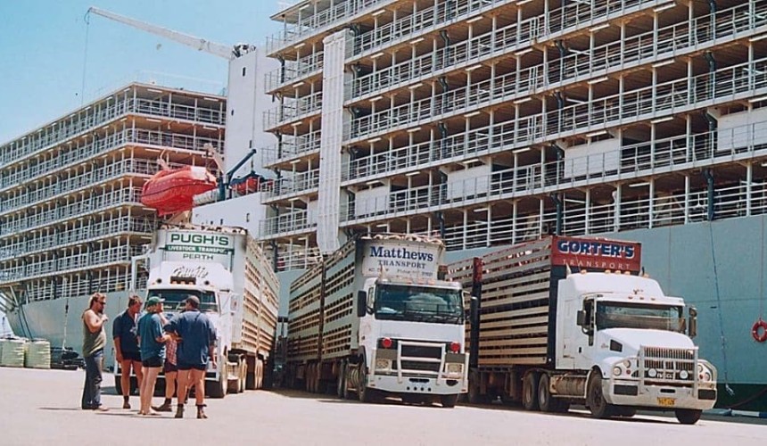$150k boost for live export animal welfare reporting