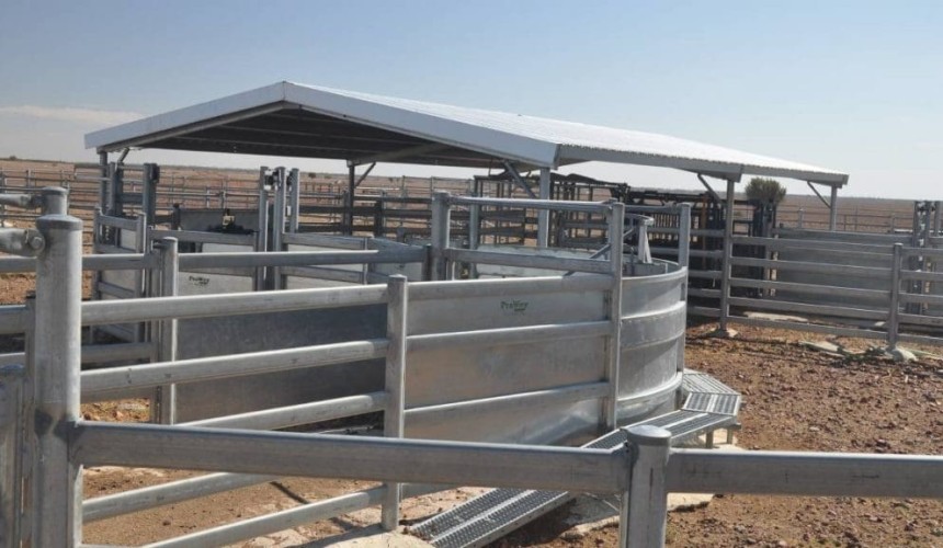 NAPCo secures western Qld’s Portland Downs in $23m deal