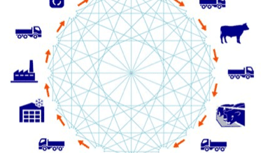Is blockchain a hidden source of efficiency for the meat supply chain?