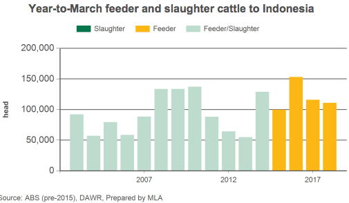 Cattle exports 21pc higher year-on-year, but pace drops off Indonesian shipments