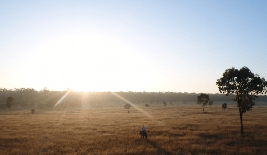 Tree laws: ‘A True Story’ video gives voice to landholder concerns