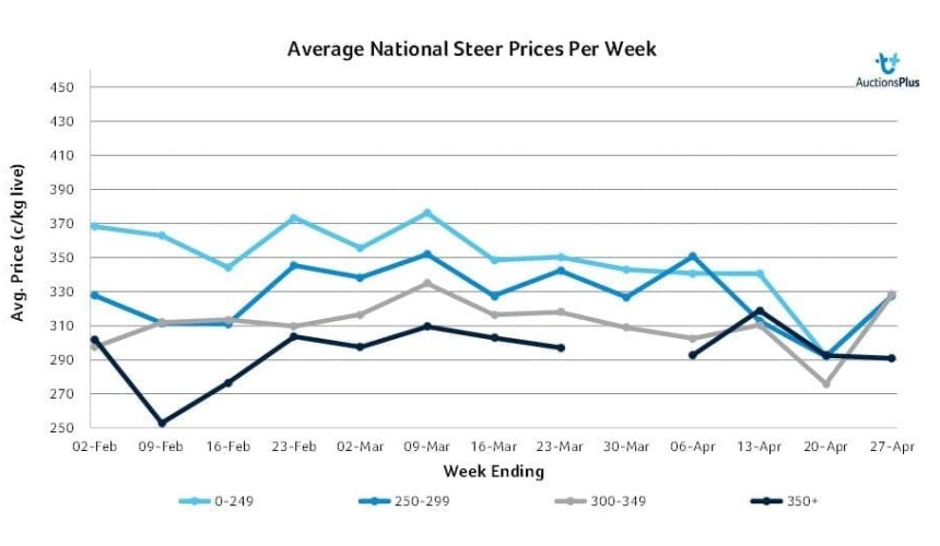 Young cattle dominate smaller AuctionsPlus offering