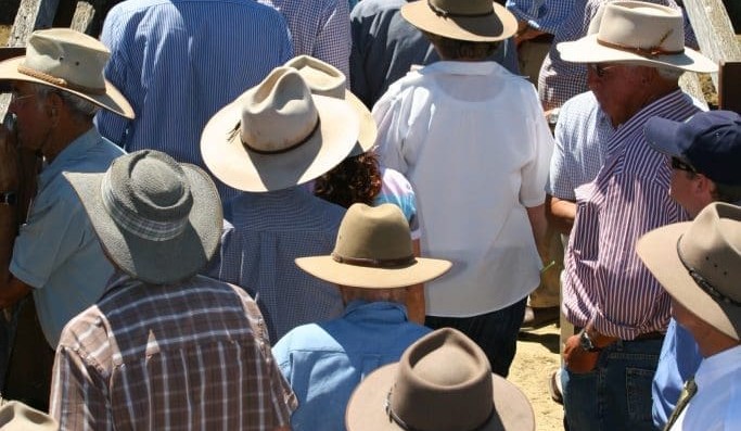 ACCC criticises cattle industry’s ‘poor progress’ toward reform
