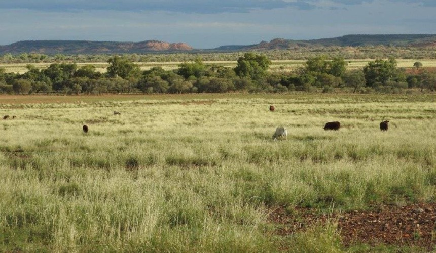 Weekly property review: Central Western Queensland regional spotlight