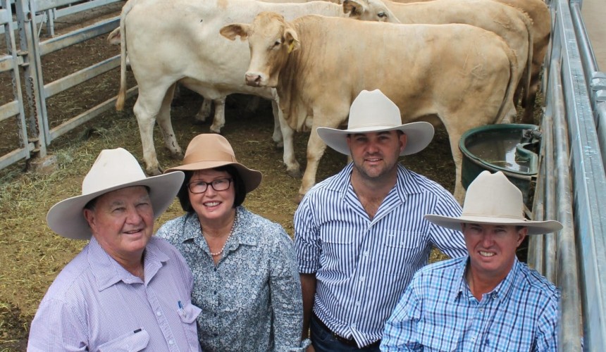 Leucaena fed cattle feature prominently in commercial championships