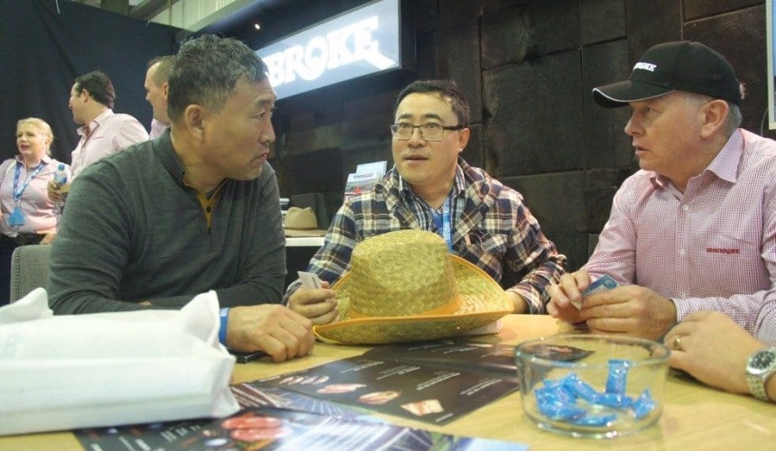 International stakeholders not forgotten in Beef 2021 program