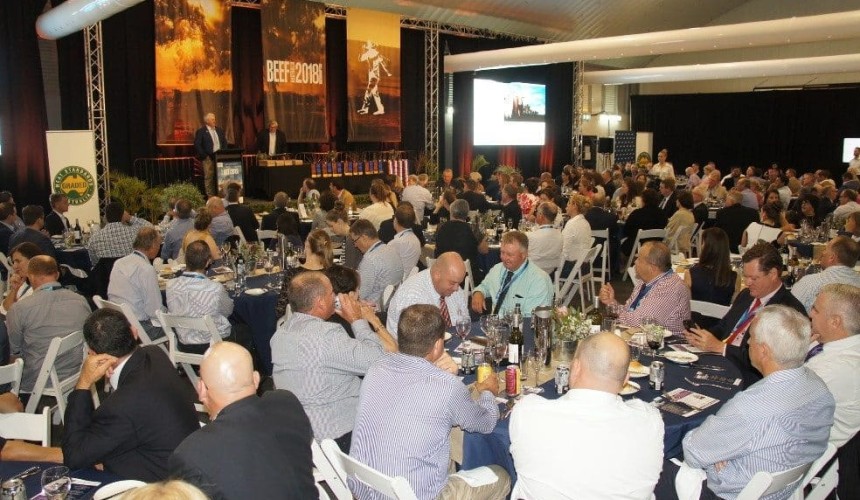 Beef 2021: Applications for National Beef Carcase Competition closing soon