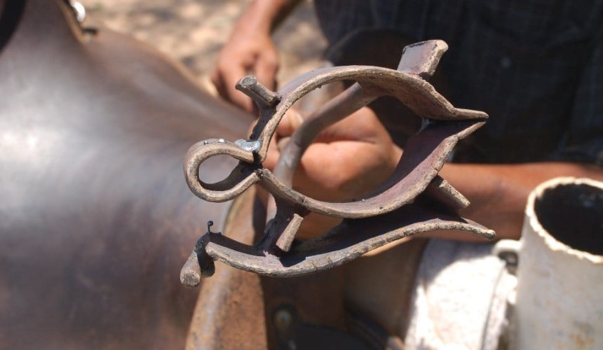 Qld and NT want branding to remain mandatory