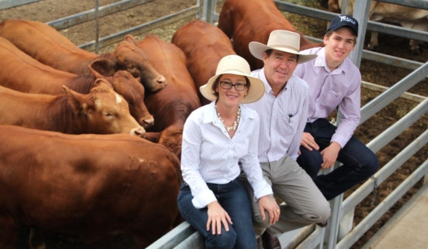 BEEF 2018 commercial cattle championships: McKenzie Droughtmasters reign supreme