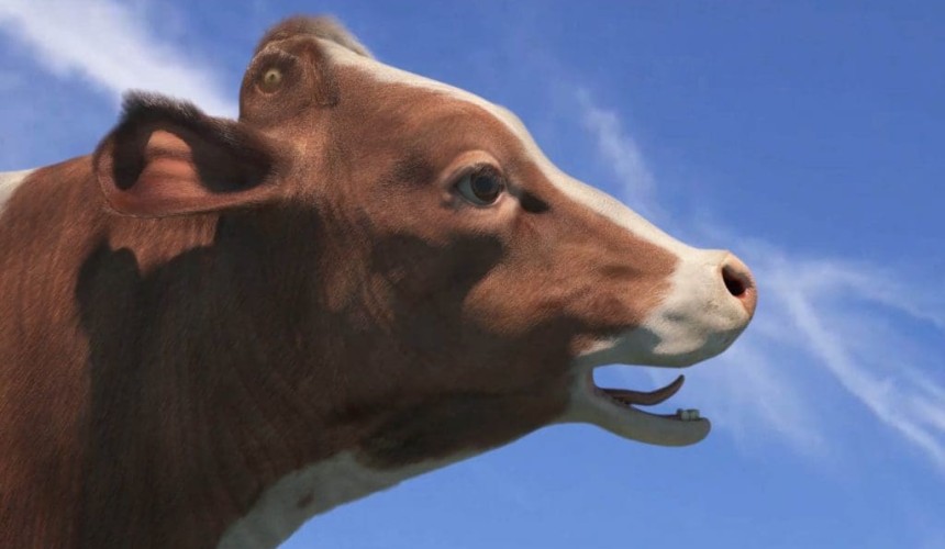 Cows might fly – The best way to predict the future is to create it + VIDEO