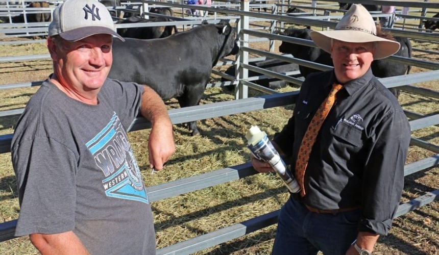 Weekly genetics review: Solid overall result, but autumn bull sales taper-off due to season