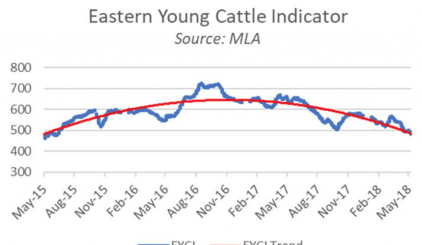 Aus cattle shipments up but Indonesia in doldrums
