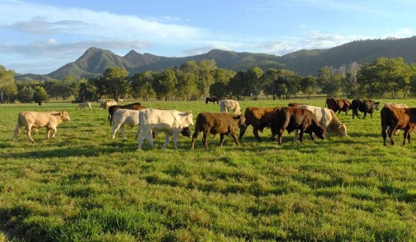 Big week for property during Beef 2018 in Rocky