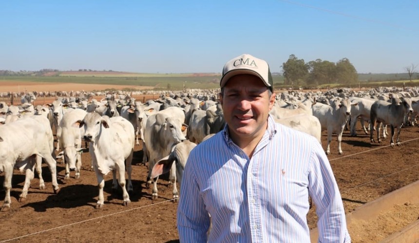Brazilian lot feeder bullish about live exports