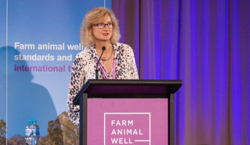 Measuring well-being is vital to improving livestock welfare, forum hears