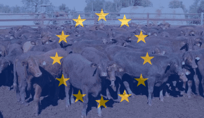 EU Parliament considers meat tax proposal