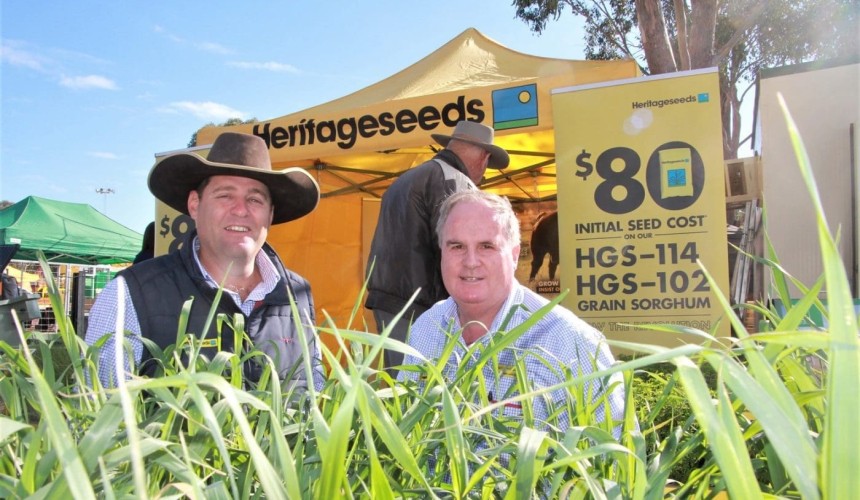 Dry sown oats hopes hinge on forecast June rain